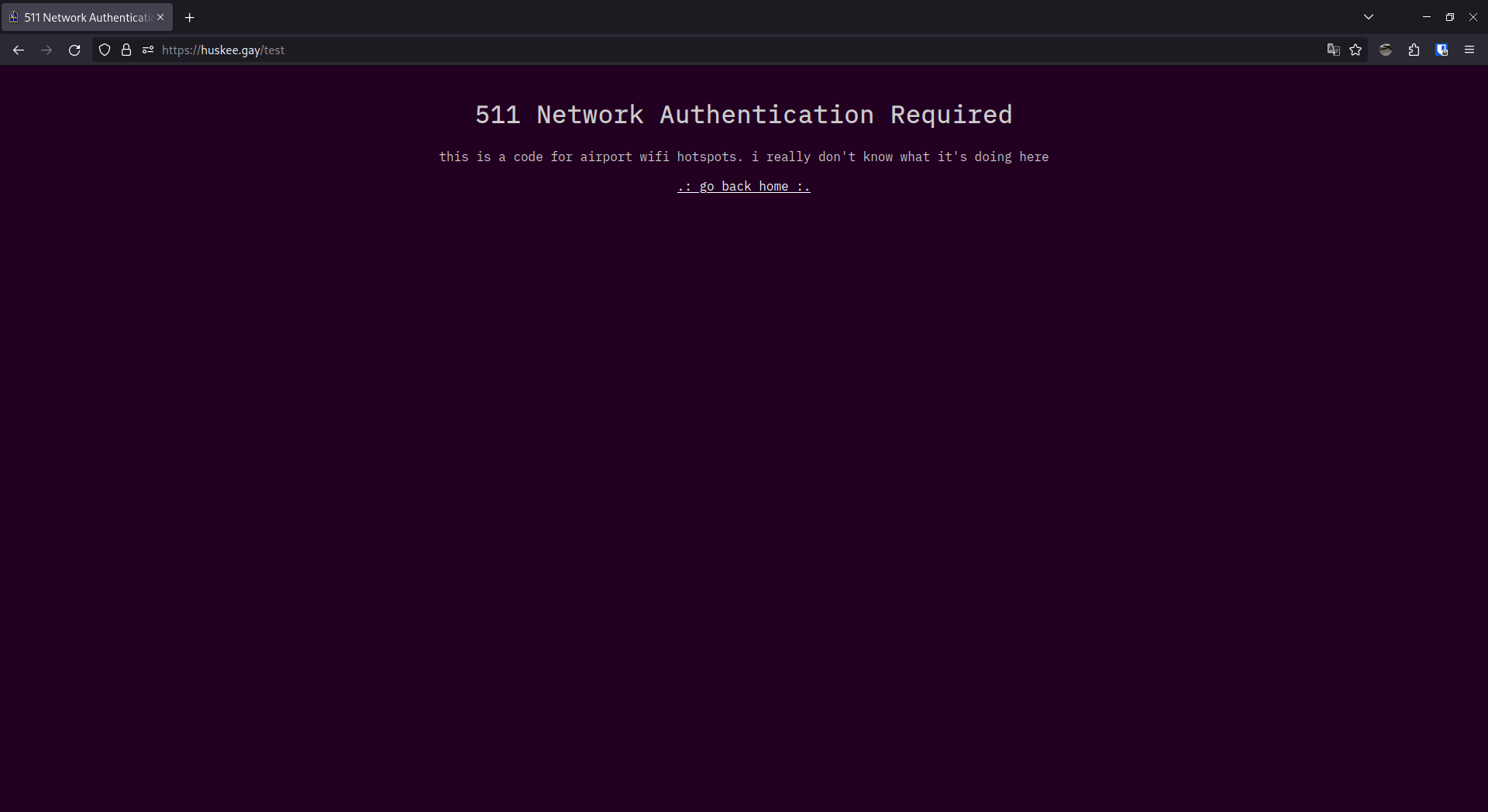 screenshot of a custom error page for HTTP status code 511 Network Authentication Required